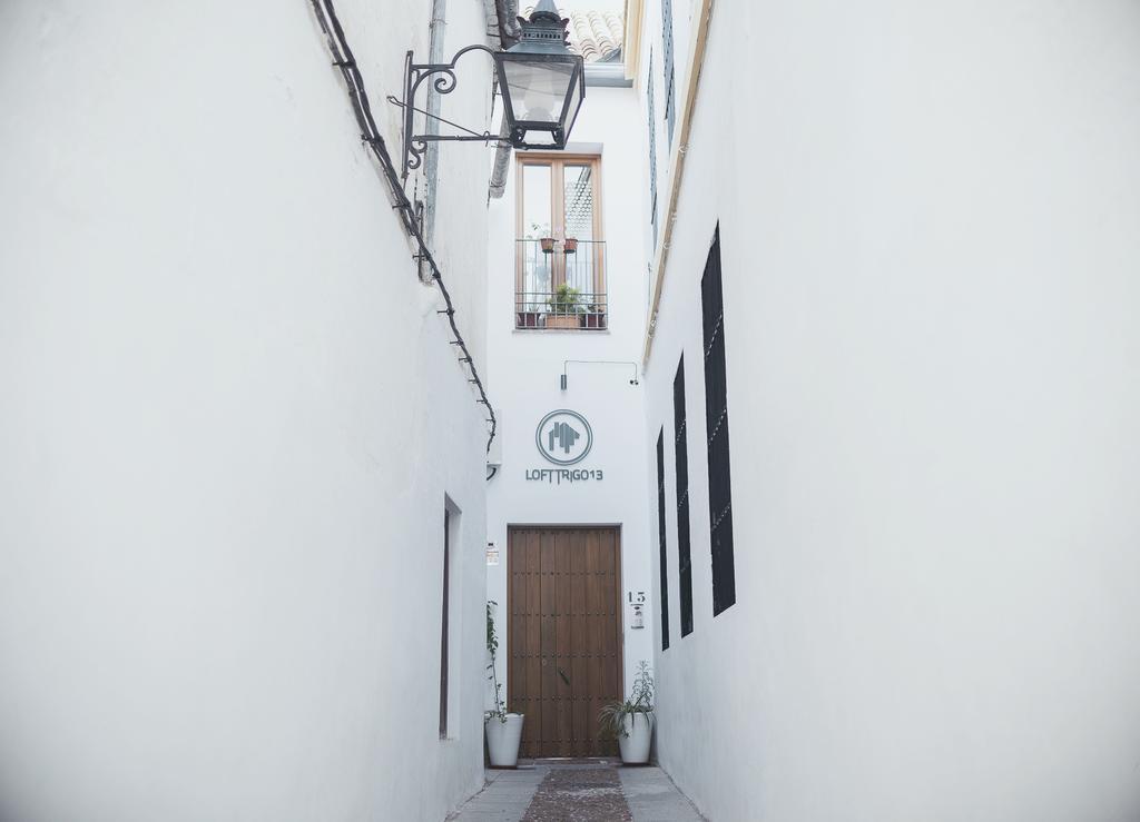 Grupo Limcotel Loft Trigo 13 Piscina Córdoba Eksteriør bilde