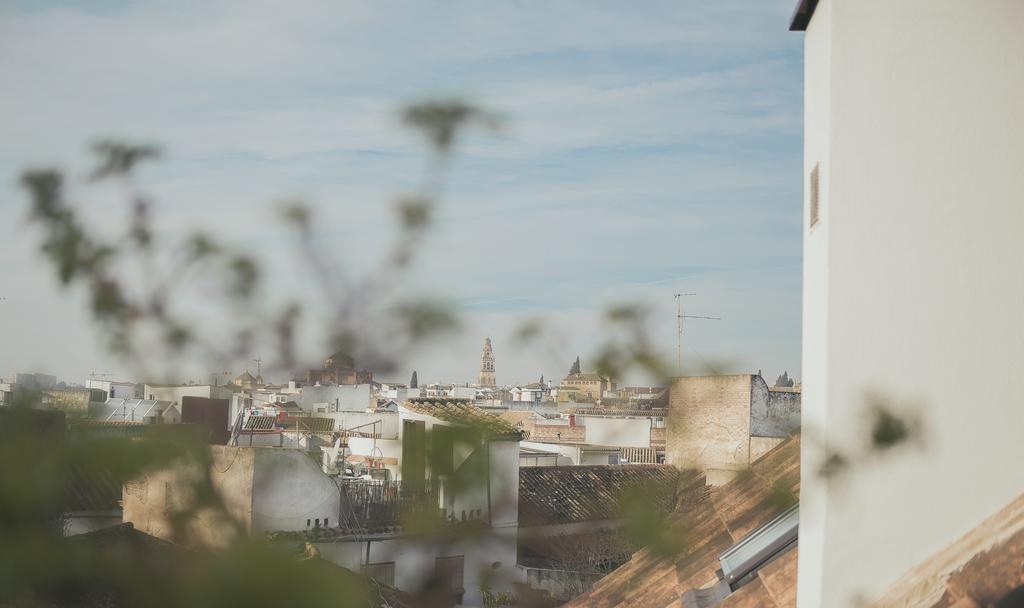 Grupo Limcotel Loft Trigo 13 Piscina Córdoba Eksteriør bilde